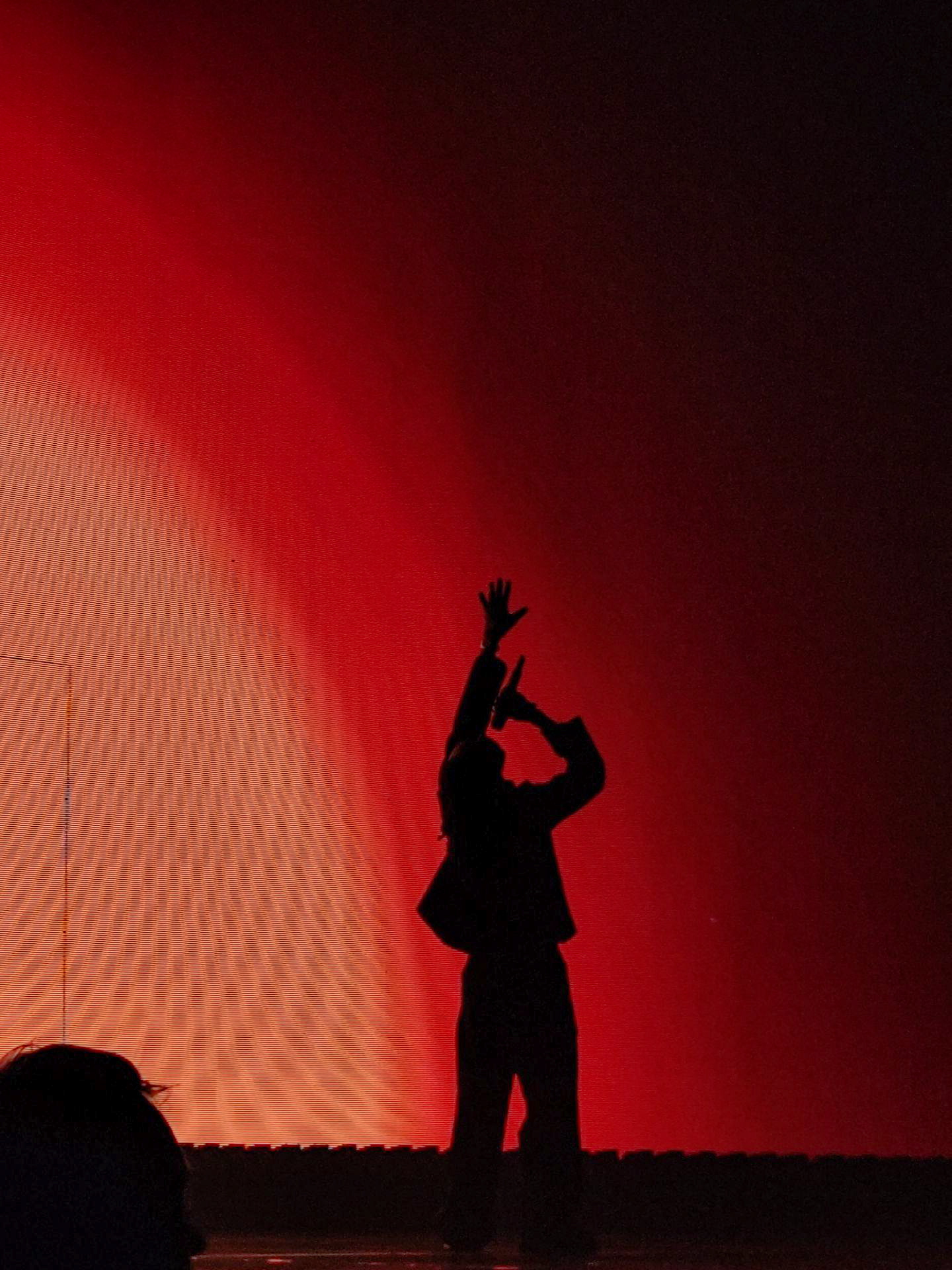 photo d'un chanteur lors d'un concert